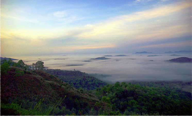 Coorg /Mysore /Chikmagalur